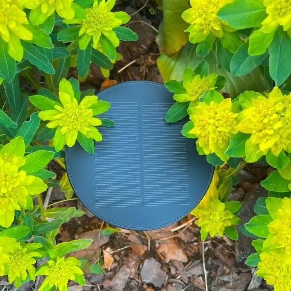 Zuma Line DT33611 - LED Solárna lampa CARLI LED/2W/2000 mAh IP44 čierna