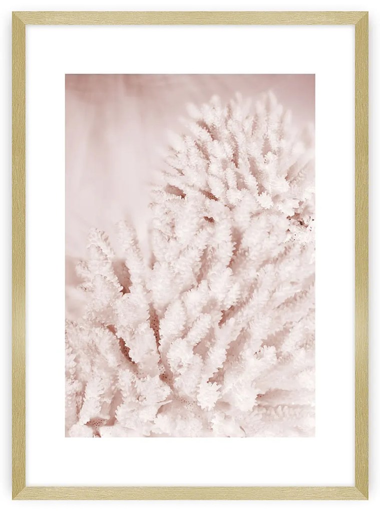 Plagát Pastel Pink II