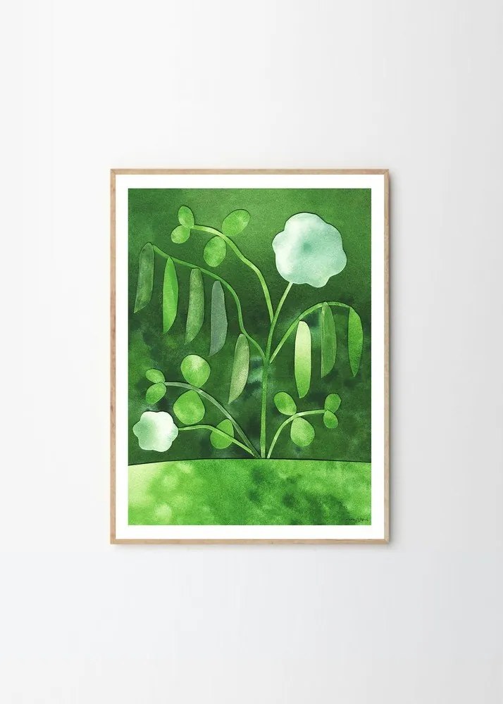 Plagát 50x70 cm Peas in Bloom – Anna Ravn Bjørn – The Poster Club
