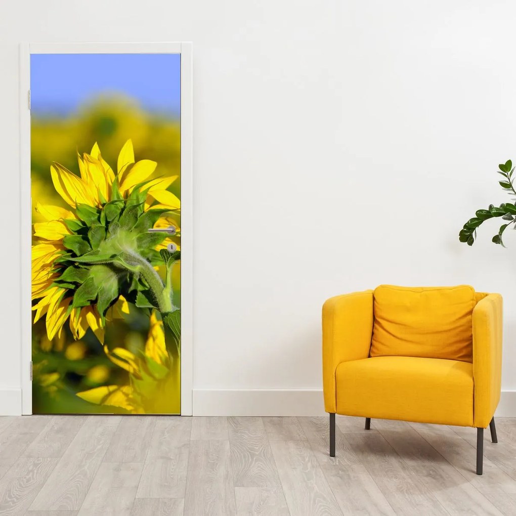 Fototapeta na dvere - Slnečnica (95x205cm)