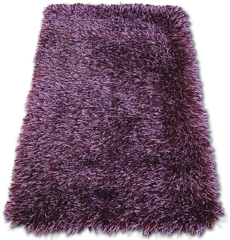 Dywany Lusczow Kusový koberec LOVE SHAGGY fialový, velikost 200x290