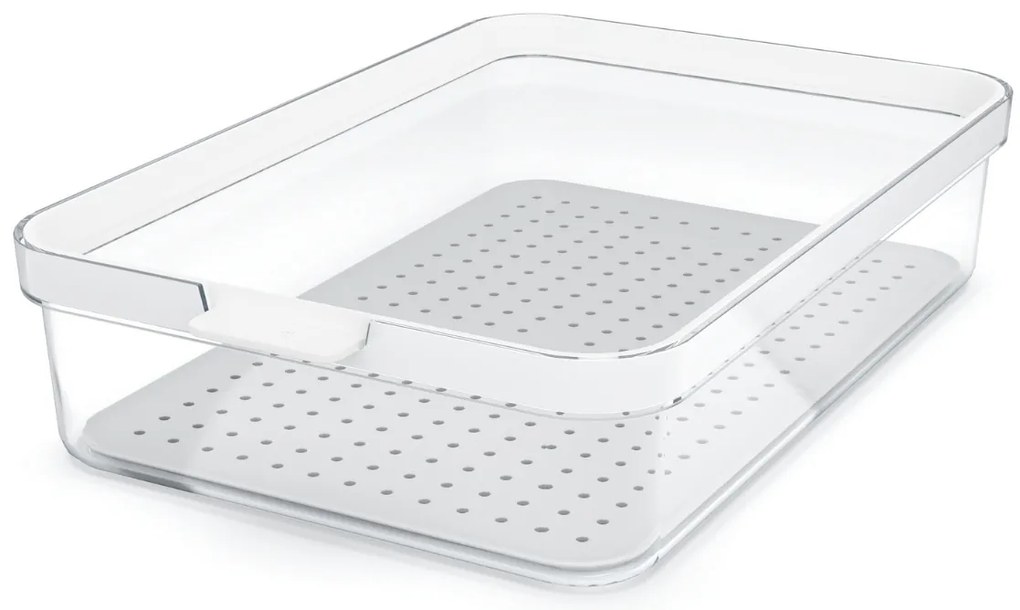 Rotho Organizér do chladničky s vekom a špeciálnou podložkou 2,6 l CAUMA