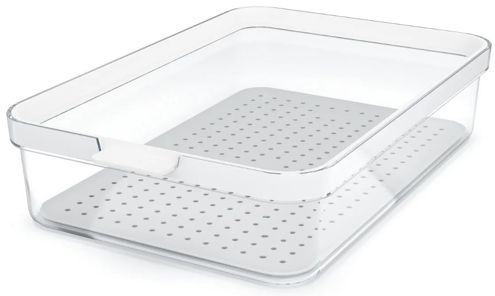 Rotho Organizér do lednice, s víkem a speciální podložkou 2,6l CAUMA