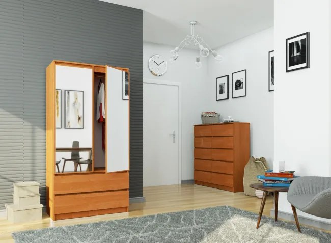 Skriňa S 90 cm 2D 2SZ 2 zrkadlá CLP olcha