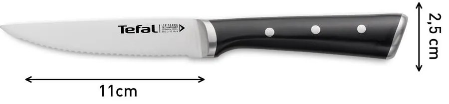 Súprava nožov na steak z nerezovej ocele 4 ks Ice Force – Tefal