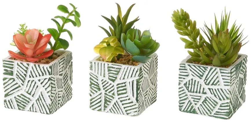 Umelé rastliny v súprave 3 ks (výška 12 cm) Cactus – Casa Selección
