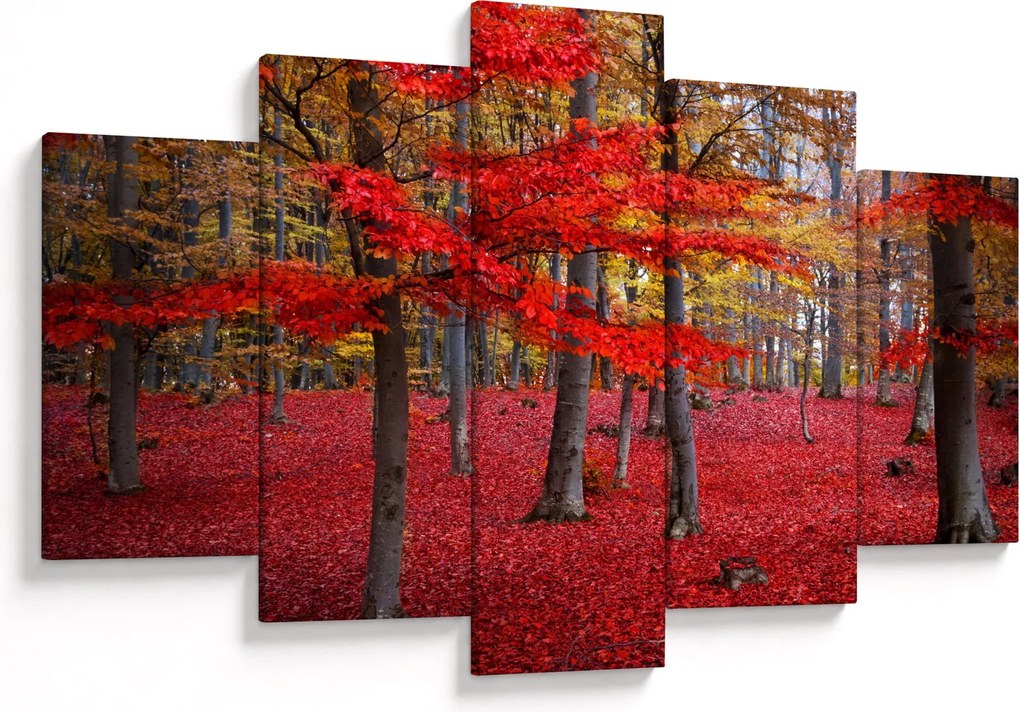 Obraz - Červený les (150x105 cm)