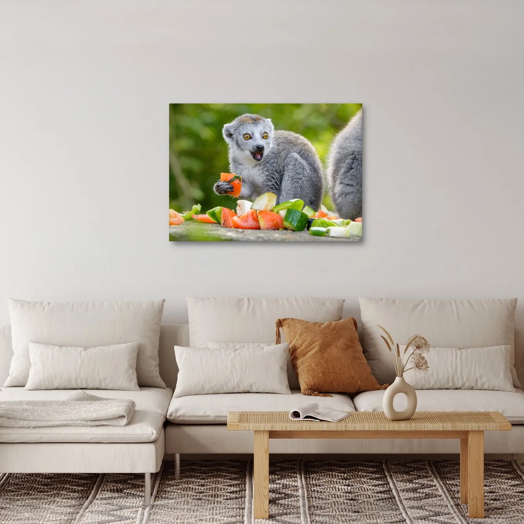 Obraz lemura (70x50 cm)