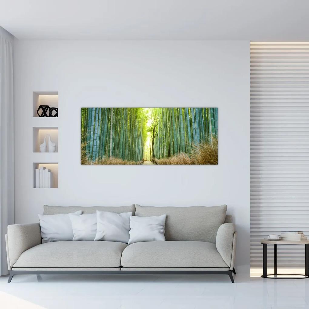 Obraz - Ulička s bambusmi (120x50 cm)