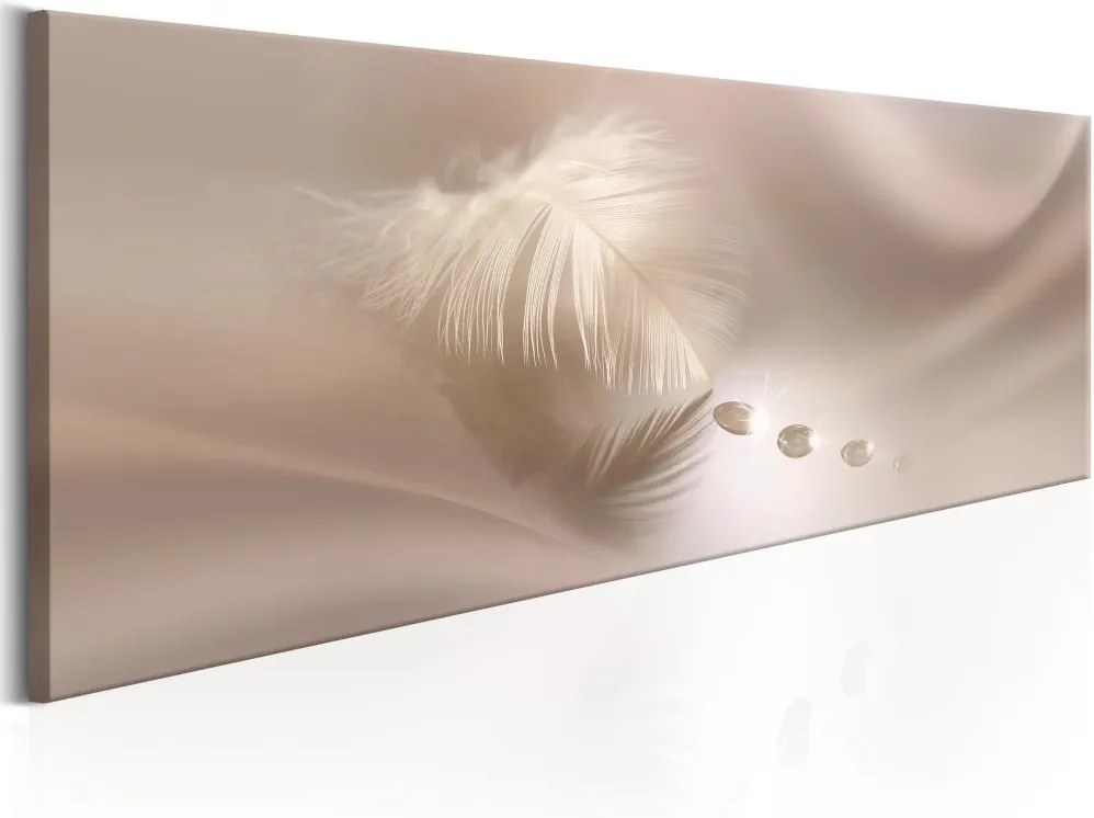 Obraz na plátne Bimago - Delicate Feather 150x50 cm