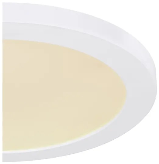 Globo 12379-24W - LED Stropné svietidlo LASSE LED/24W/230V