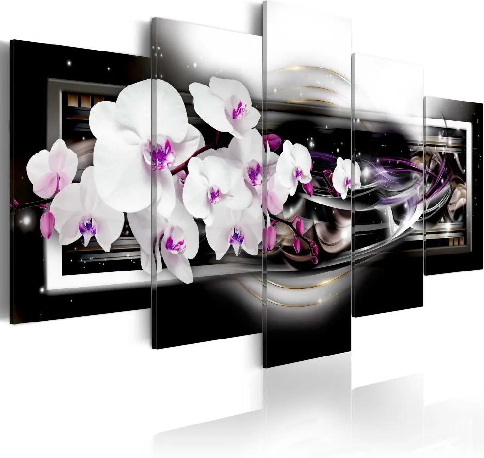 Obraz na plátne Bimago - Orchids on a black background 100x50 cm