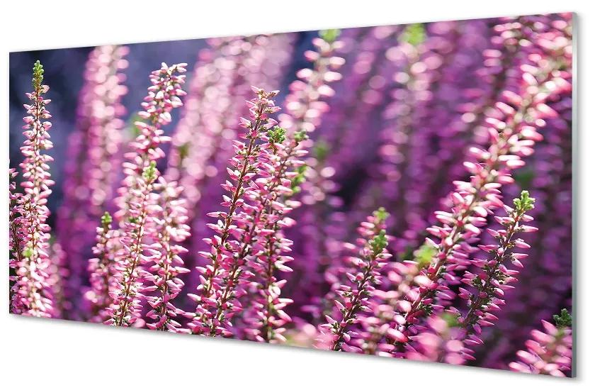 Sklenený obraz kvety 100x50 cm