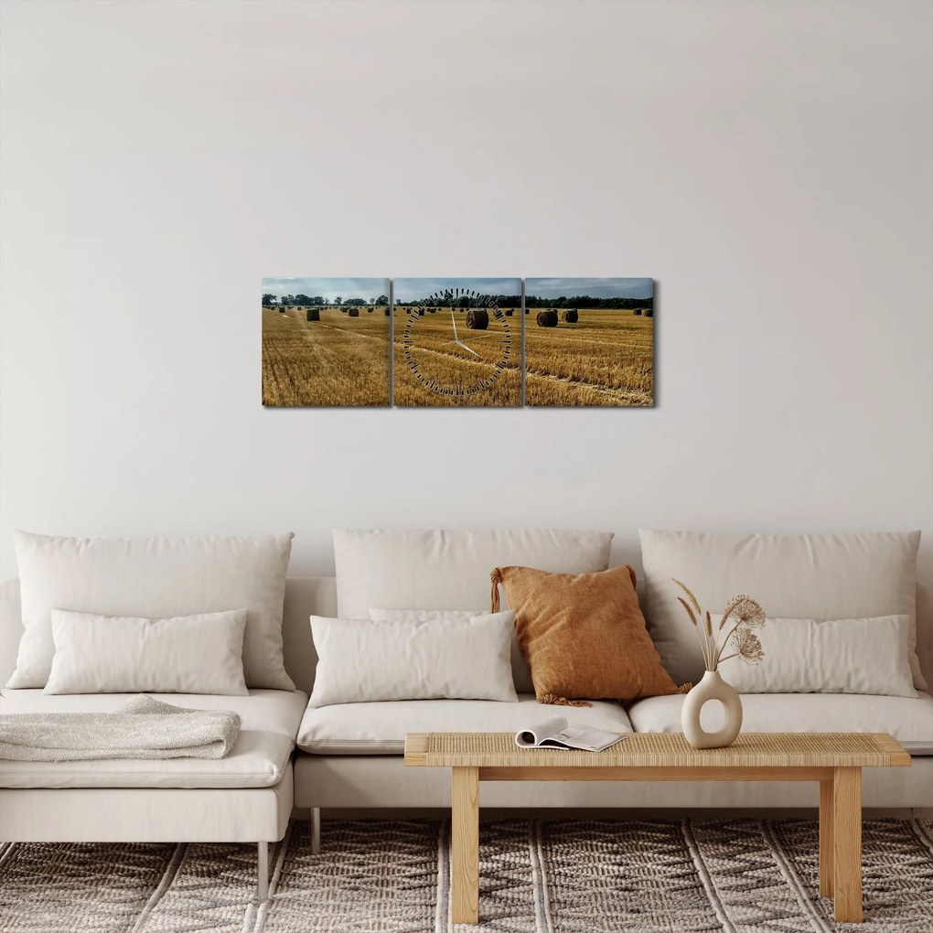 Obraz zozbieraného obilného poľa (s hodinami) (90x30 cm)