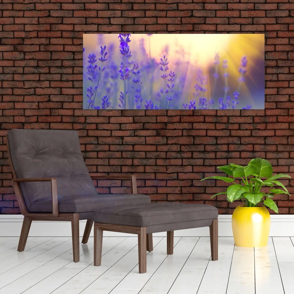 Obraz - Levanduľa (120x50 cm)