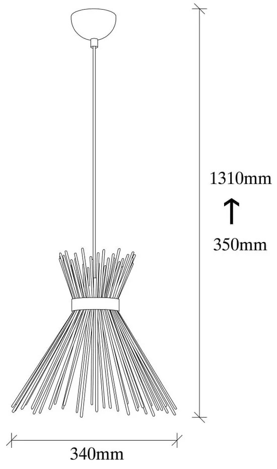 Čierne kovové závesné svietidlo Opviq lights Rosalia