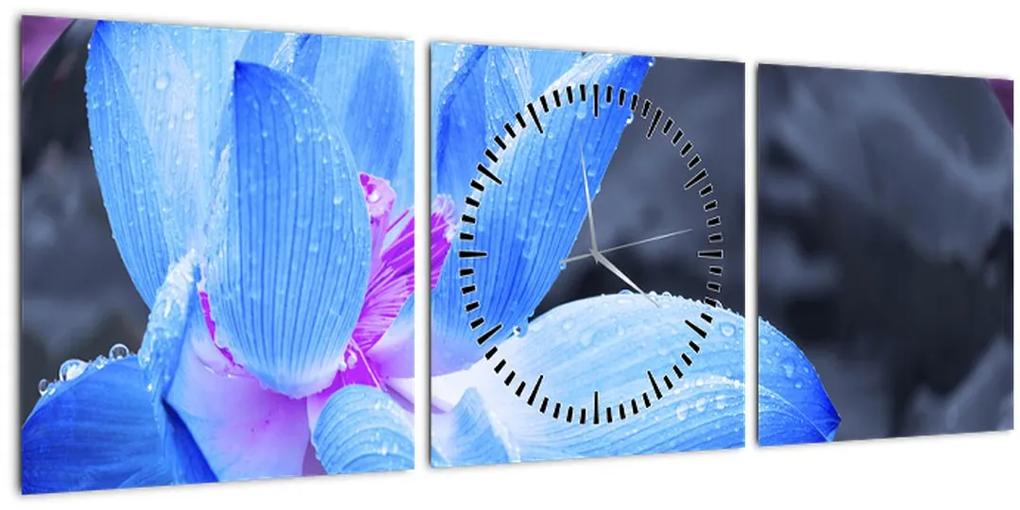 Obraz kvetu v detaile (s hodinami) (90x30 cm)
