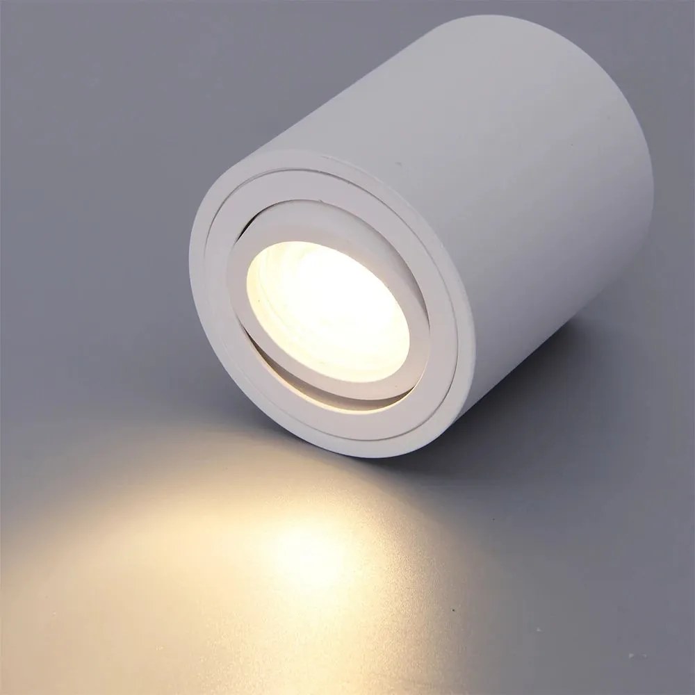 Toolight Toolight, bodová stropná-nástenná lampa 1xGU10 322117A, biela, OSW-08801