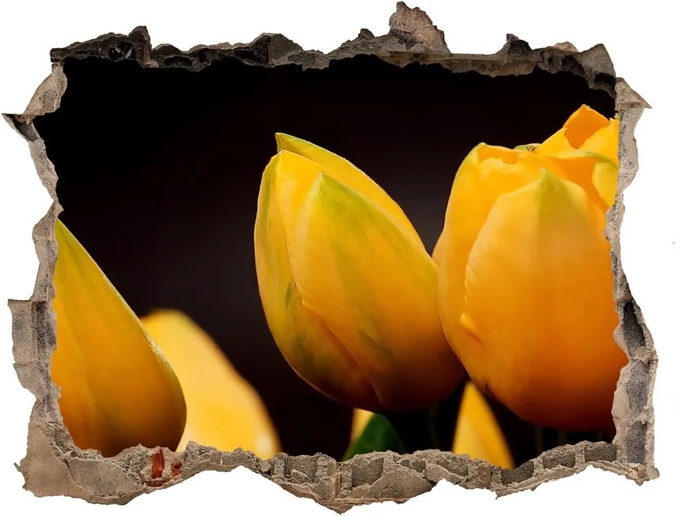 Samolepící díra nálepka Žluté tulipány WallHole-95x64-kamien-64836622