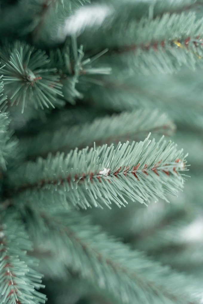 Limpol Jedľa Renáta silver 150 cm