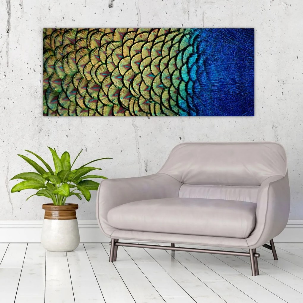 Obraz - Pávie perie (120x50 cm)