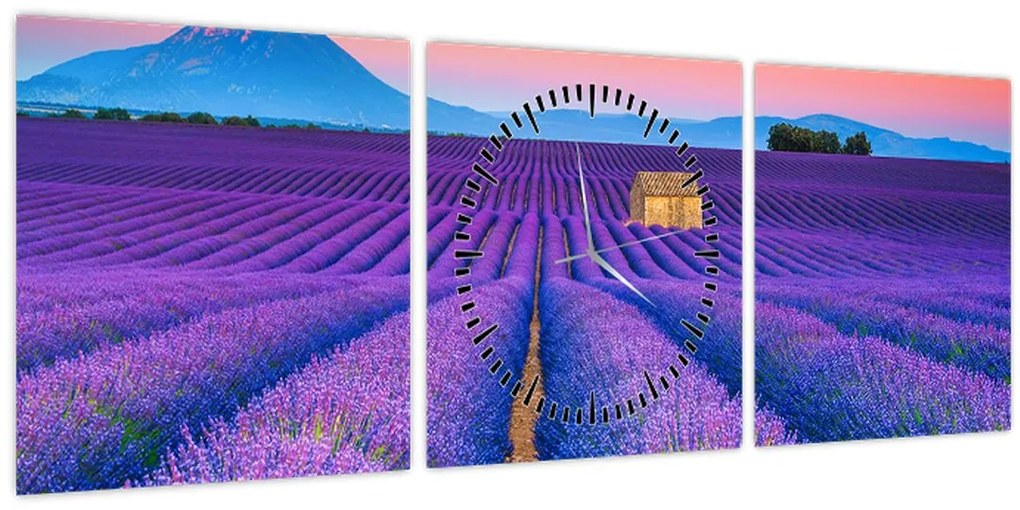 Obraz - Levanduľové pole (s hodinami) (90x30 cm)