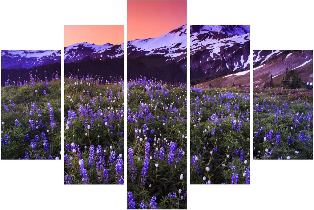 Obraz - Sopka a kvety (150x105 cm)