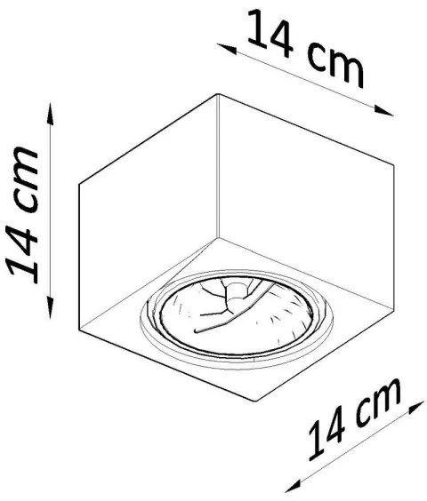 Stropné svietidlo SEIDA 1xGU10/40W/230V