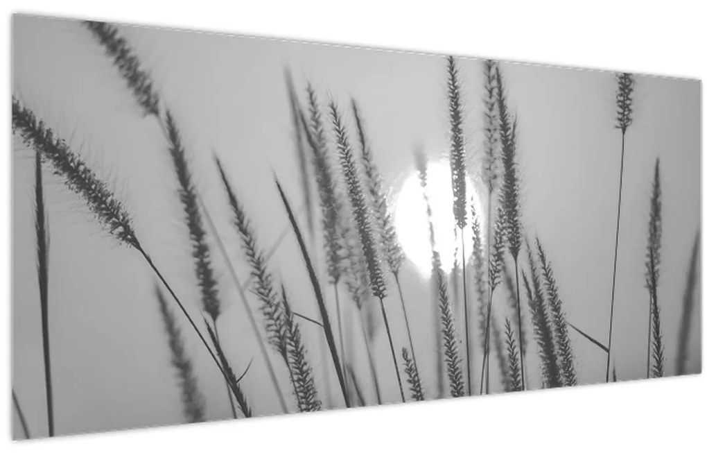 Obraz - Lúka pri západe slnka (120x50 cm)