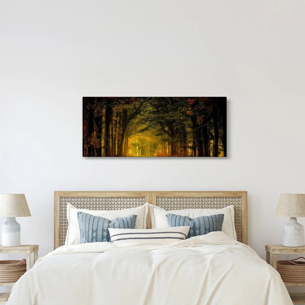 Obraz lesu (120x50 cm)