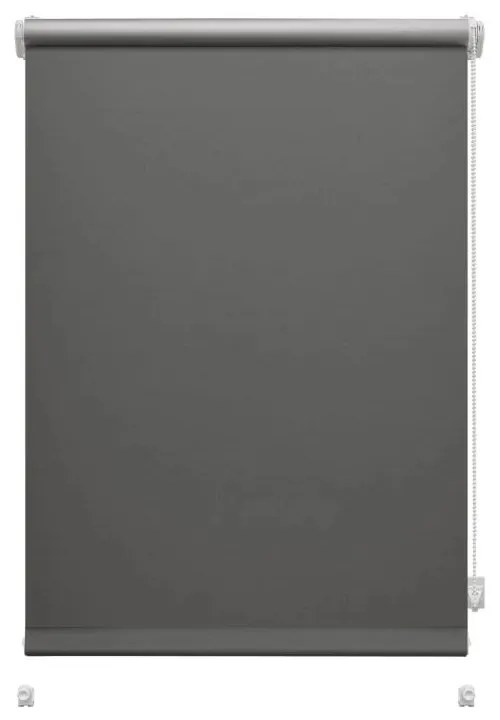 Tmavosivá roleta 80x150 cm Mini Termo – Gardinia