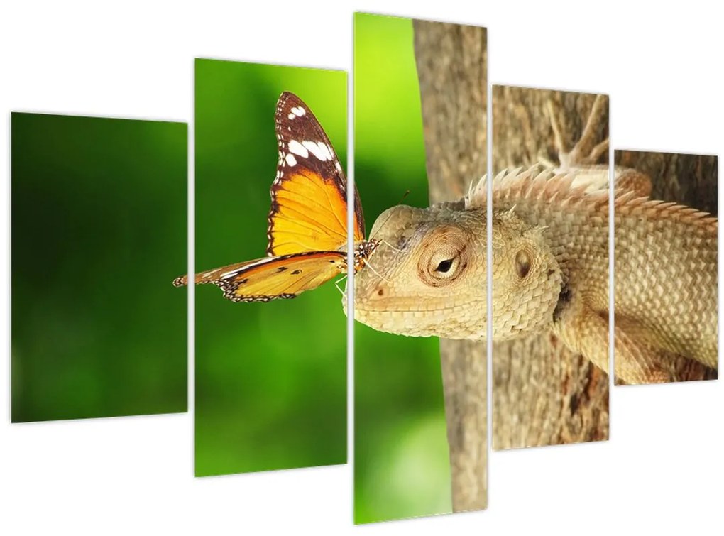 Obraz - Jašter (150x105 cm)