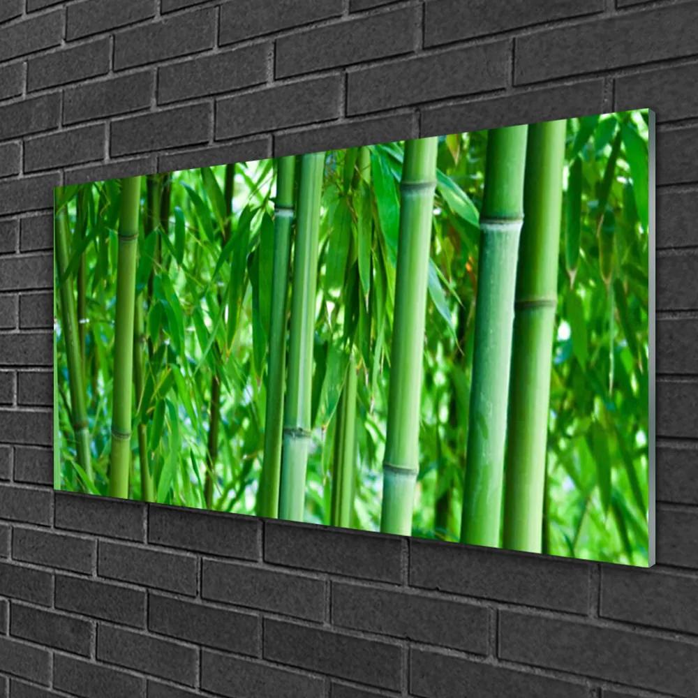Obraz na skle Bambus stonka rastlina 100x50 cm