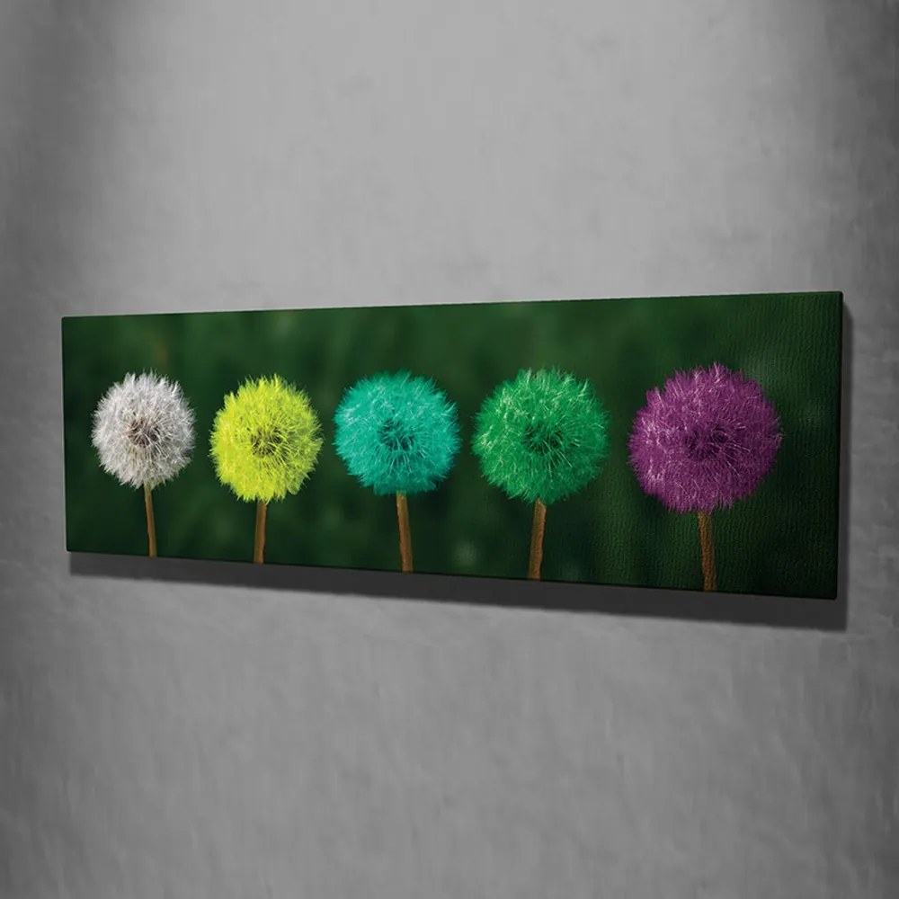 Obraz na plátne Dandelions PC93 30x80 cm