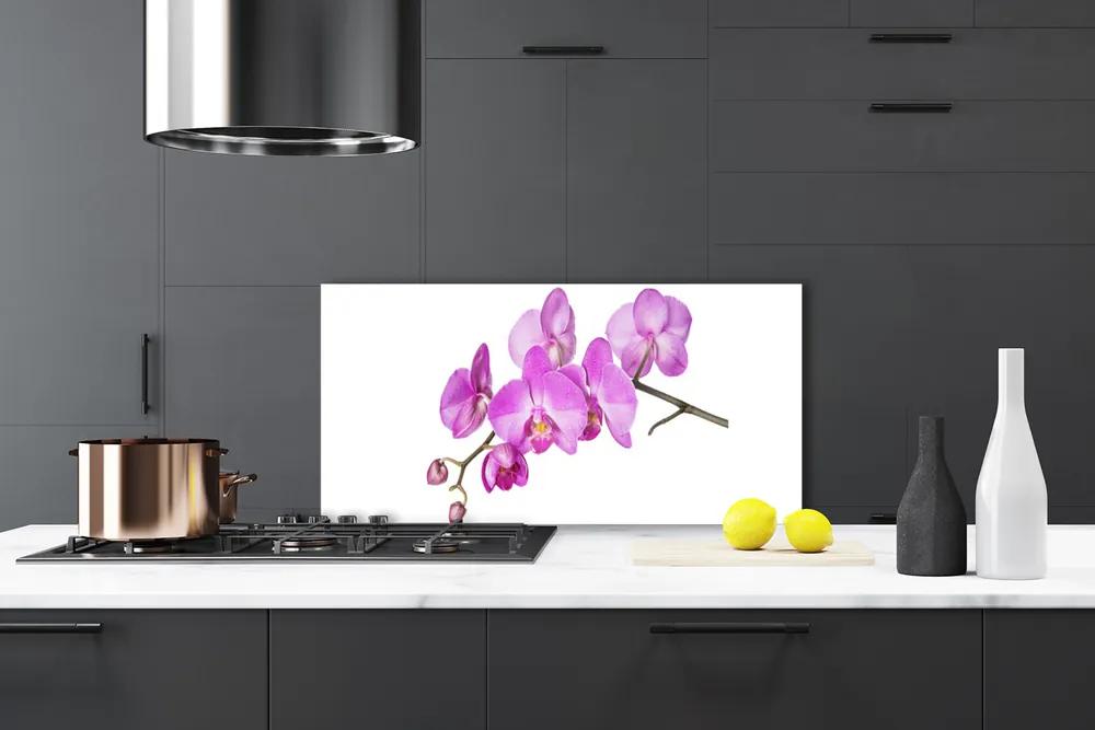 Sklenený obklad Do kuchyne Vstavač orchidea kvety 120x60 cm