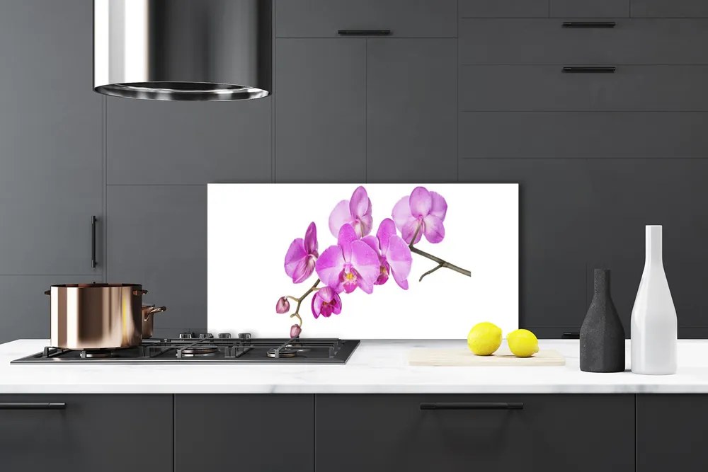 Sklenený obklad Do kuchyne Vstavač orchidea kvety 125x50 cm