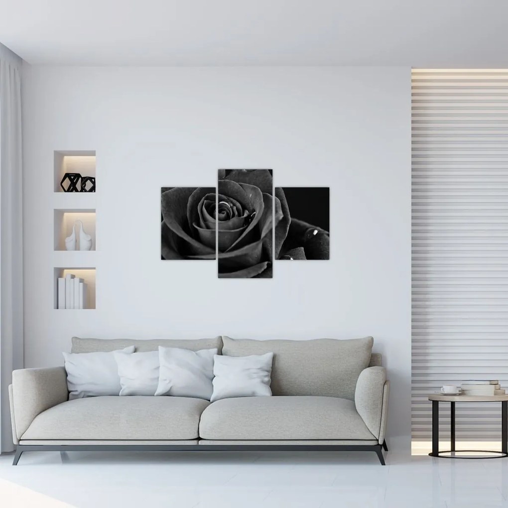 Obraz - Červená ruža (90x60 cm)