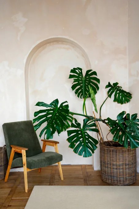 Koberec New Montego 168 béžový