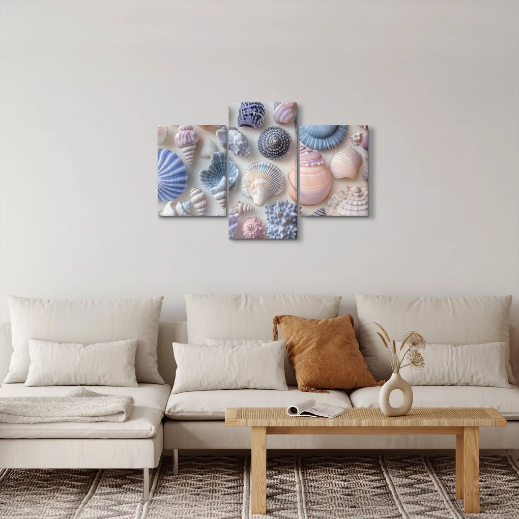 Obraz - Zbierka mušlí (90x60 cm)
