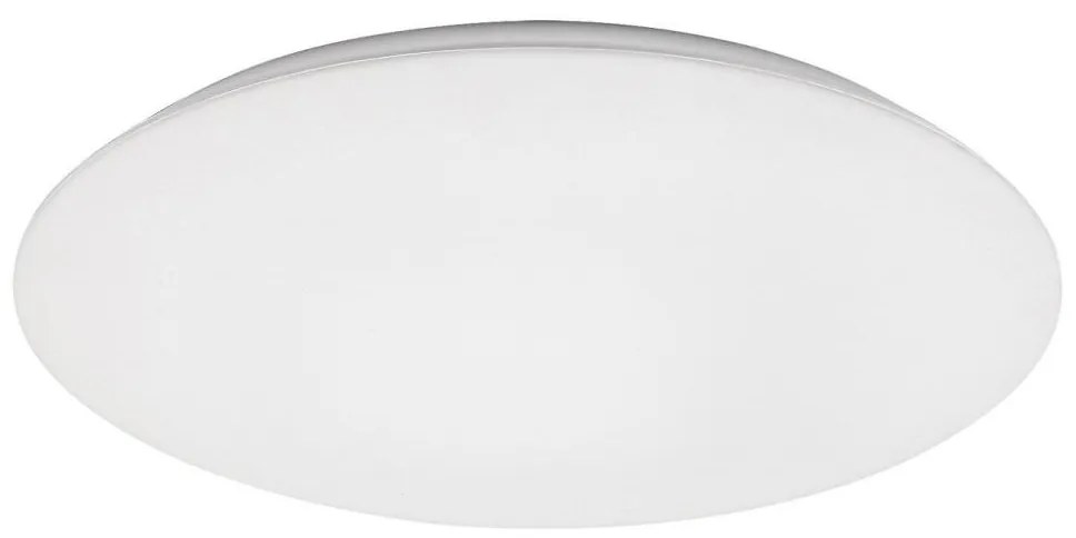 Rabalux Rabalux 71125 - LED Stropné svietidlo RORIK LED/45W/230V 4000K 48 cm RL71125