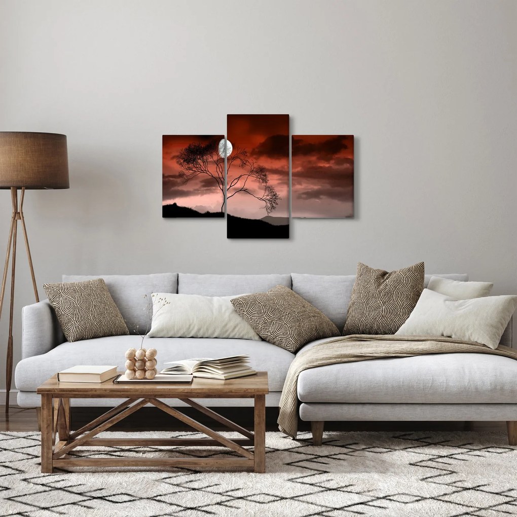 Obraz - Mesiac osvetľujúce noc (90x60 cm)