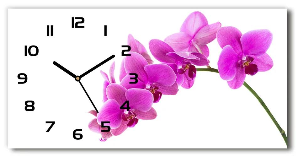 Vodorovné Sklenené hodiny na stenu Ružová orchidea pl_zsp_60x30_f_67691978