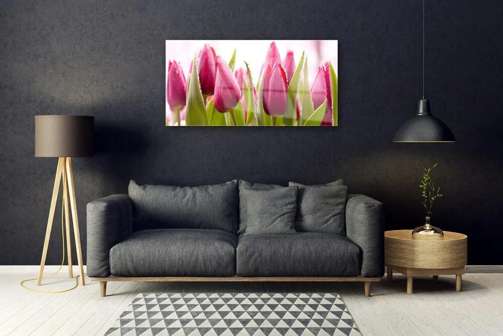 Skleneny obraz Tulipány kvety rastlina 120x60 cm