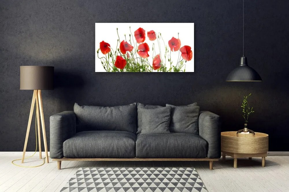 Obraz plexi Maky kvety príroda 100x50 cm