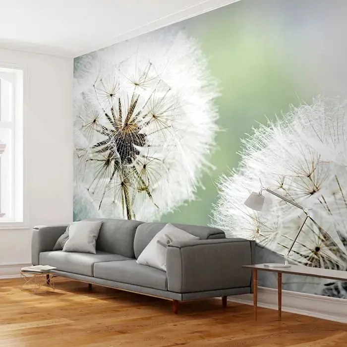 Fototapeta - Two dandelions Veľkosť: 200x154, Verzia: Standard