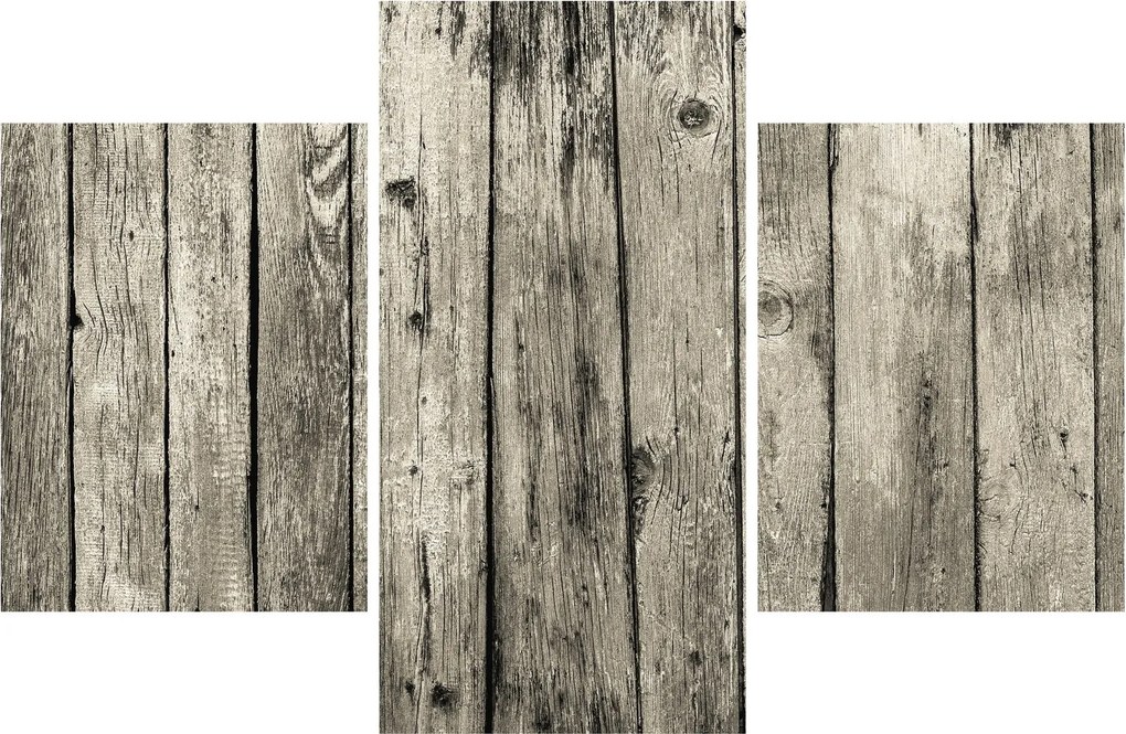 Obraz - Drevo (90x60 cm)
