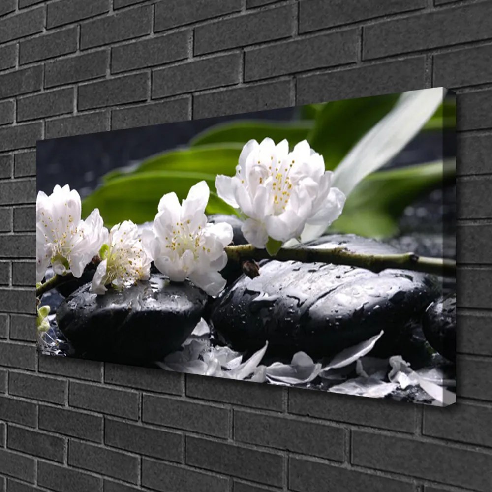 Obraz na plátne Kvet kamene 140x70 cm