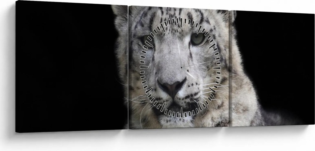 Obraz - Leopard snežný (s hodinami) (90x30 cm)