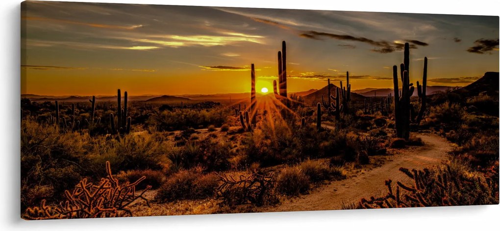 Obraz - Koniec dňa v arizonskej púšti (120x50 cm)