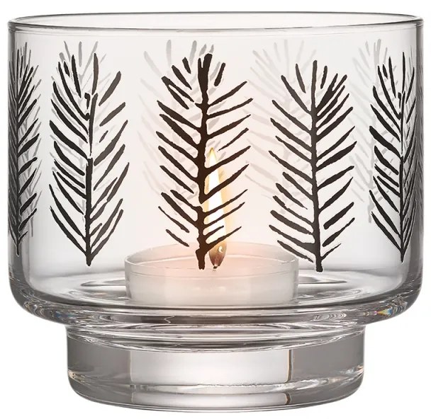 Svietnik Spruce